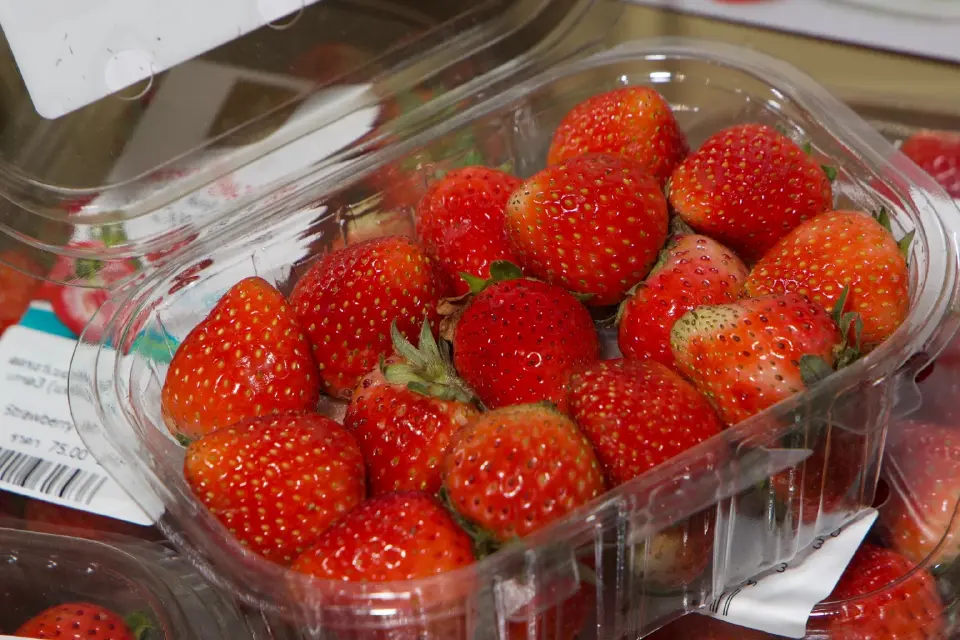 ยกดอยมาไว้ที่พารากอน! ชิมปลาเทราท์-คาเวียร์สด ในงาน Royal Project 2026