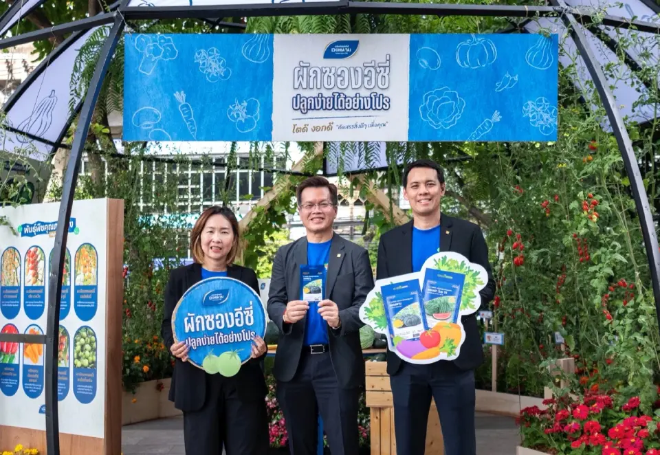 ผักซองอีซี่ เมล็ดพันธุ์คุณภาพสูง งอกดี โตไว เพื่อคนปลูกยุคใหม่