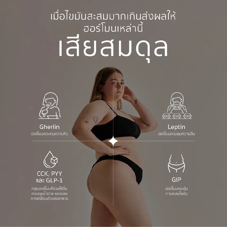 โรคอ้วนเขย่าเศรษฐกิจ-งบสาธารณสุข แนะภาครัฐเร่งสร้างสุขภาพยั่งยืน