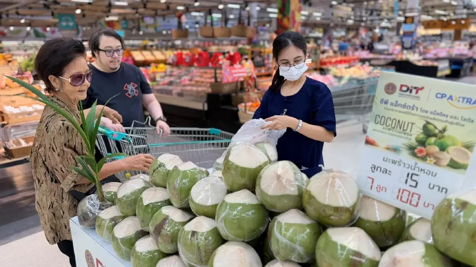 DIT ดึงแม็คโคร–โลตัส รับซื้อมะพร้าว 6 ล้านลูก แก้เกมผลผลิตล้นตลาด พยุงราคาหน้าสวน