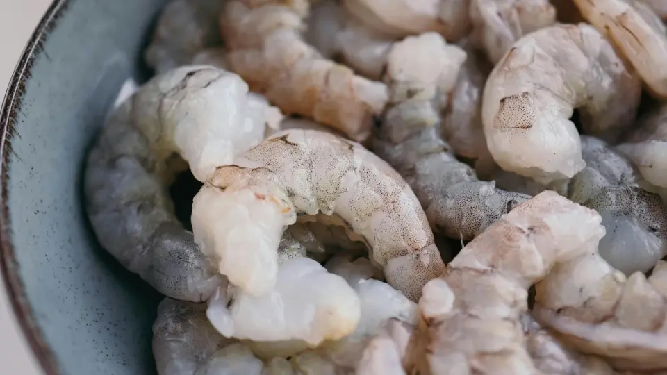 เปิดสูตรฟาร์มต้นแบบ “วันกุ้งไทย” ชู 5 กลยุทธ์ดันอัตรารอด ลดต้นทุน พลิกกำไรยั่งยืน