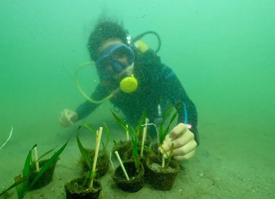 'แคลร์ - ณริดา จรณะจิตต์' เด็กไทยรักษ์โลก-คืนลมหายทะเล ดังไกลถึงเวที UN