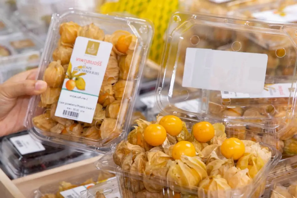 ยกดอยมาสยามพารากอน ช้อปปลาเทราต์-คาเวียร์ราคาดี ในงาน Royal Project 2026