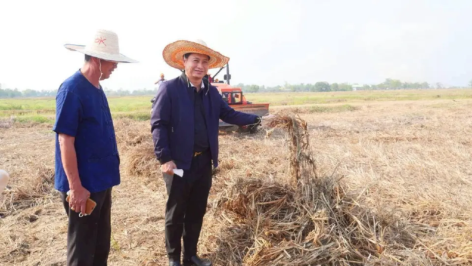 กรมการข้าว โชว์ นวัตกรรม Rotary Mulcher เปลี่ยนตอซัง 42 ล้านตัน เป็นปุ๋ย เพิ่มรายได้