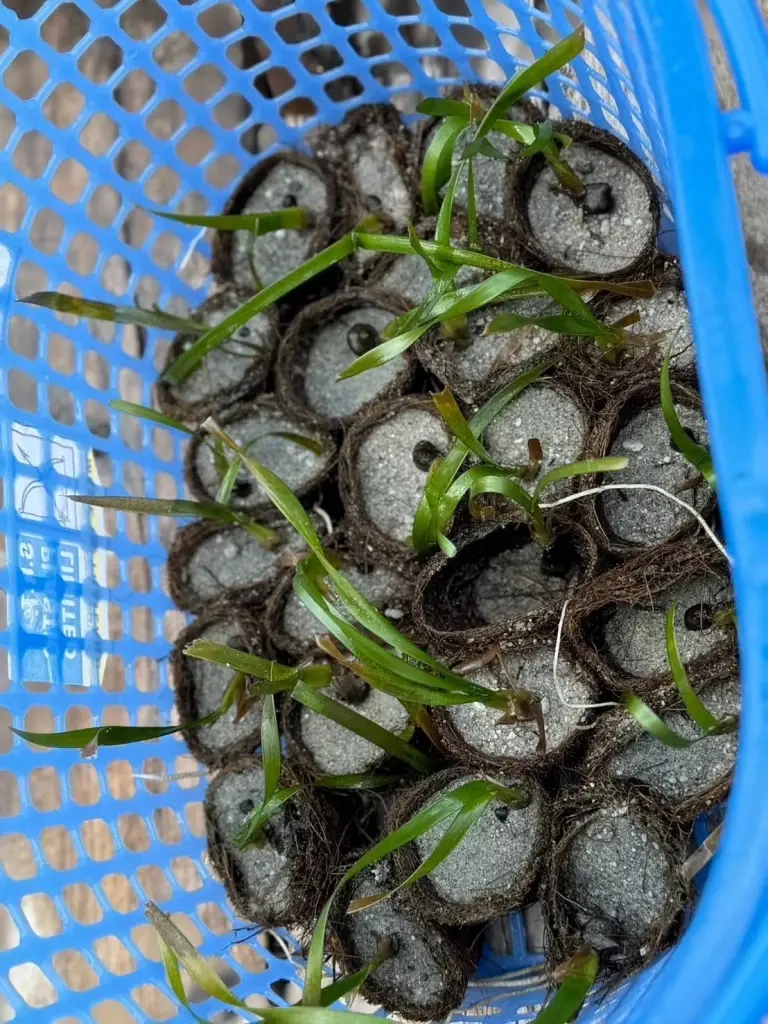 'แคลร์ - ณริดา จรณะจิตต์' เด็กไทยรักษ์โลก-คืนลมหายทะเล ดังไกลถึงเวที UN