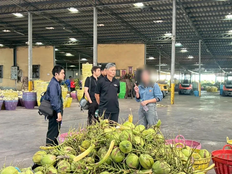 กขค. ลงพื้นที่ราชบุรี ลุยตรวจค้า “มะพร้าว” พบปมร้อน ฮั้วราคา-ใช้อำนาจเหนือตลาด