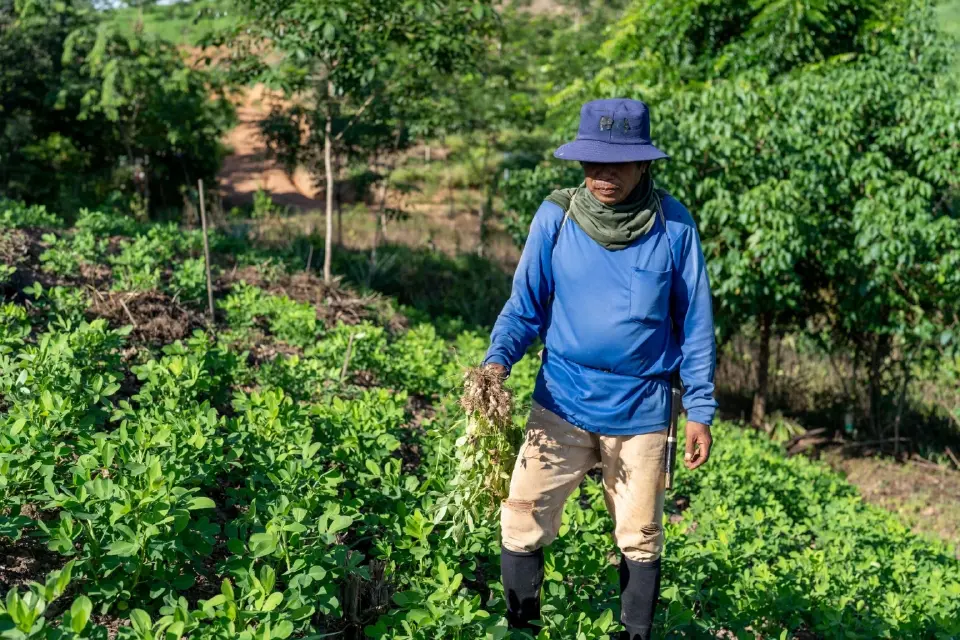 วิส อะคาเดมี ดัน ‘น่าน’ ต้นแบบฟื้นป่าต้นน้ำ ควบคู่รายได้ชุมชน 