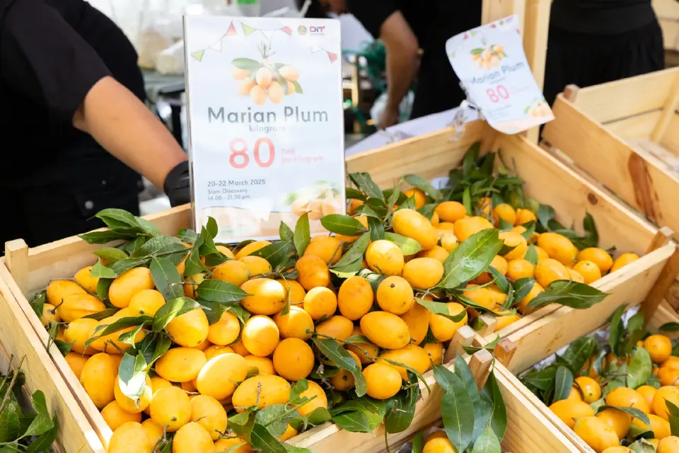 สยามเซ็นเตอร์–สยามดิสฯ ขนผลไม้ไทยวางขายใจกลางเมือง ช่วยเกษตรกร แก้ปัญหาราคาตกต่ำ