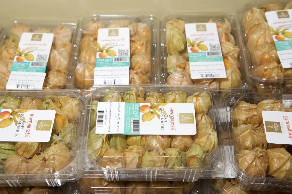 ยกดอยมาไว้ที่พารากอน! ชิมปลาเทราท์-คาเวียร์สด ในงาน Royal Project 2026