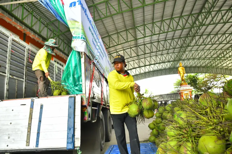 กรมส่งเสริมสหกรณ์ ดัดหลังล้งจีน  ดัน “ล้งกลางมะพร้าวน้ำหอม” ปลดแอกต่างชาติเอาเปรียบ