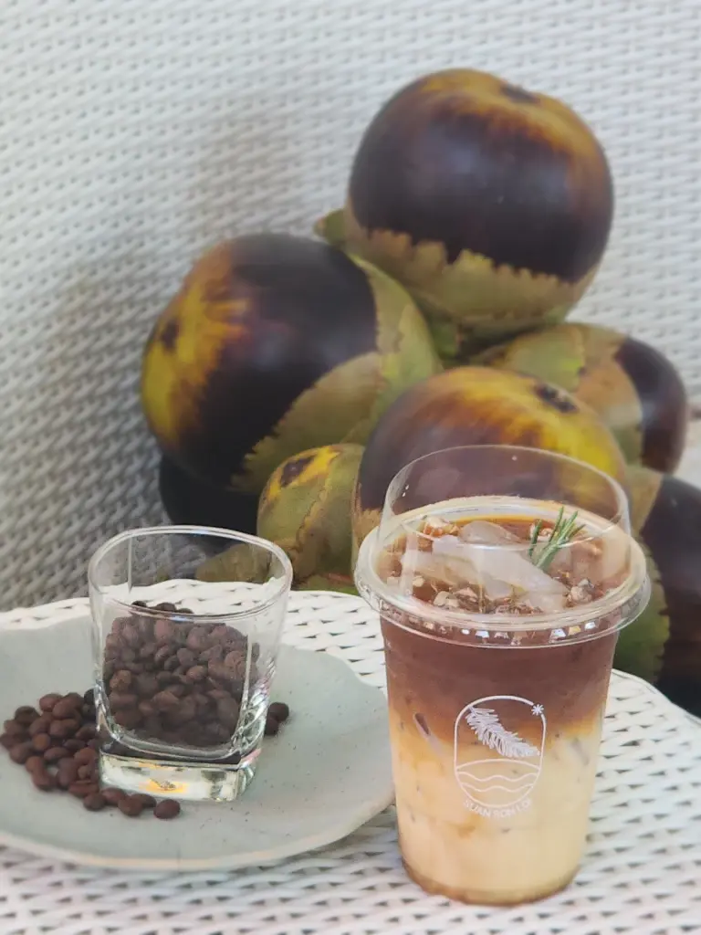 เช็คอิน สวนสนลอย คาเฟ่สีเขียวริมทะเล แลนด์มาร์คใหม่ ชะอำ หัวหิน เซ็นทารา ไลฟ์ ชะอำ