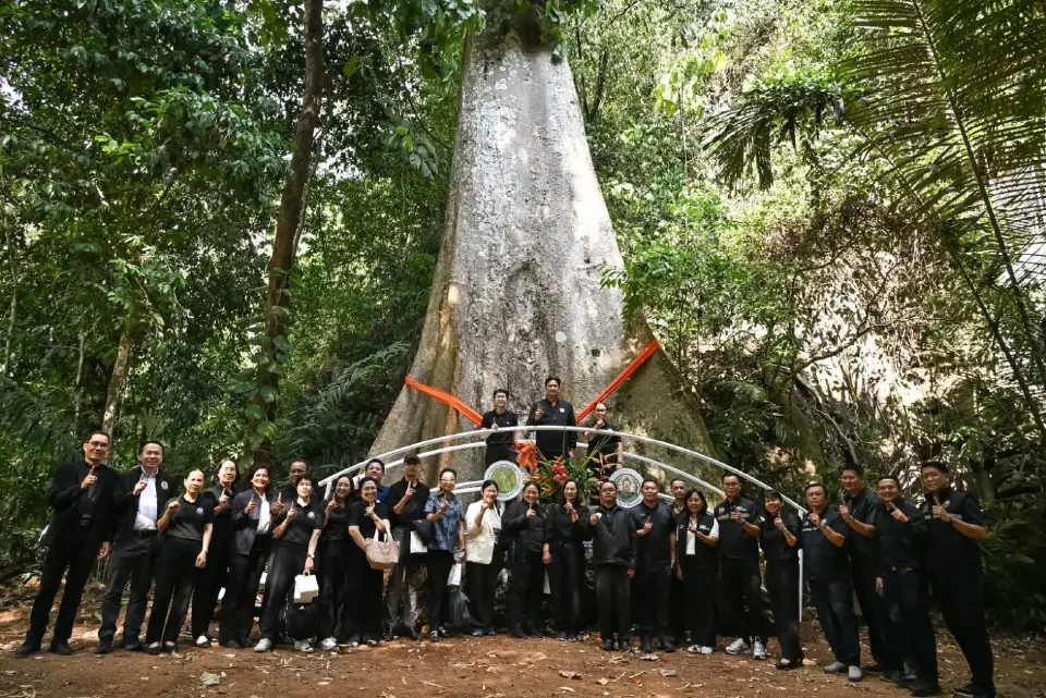 กรมวิชาการเกษตร ชู “รองเท้านารีเหลืองกระบี่” ผสานสมุนไพร สร้างแลนด์มาร์กแห่งใหม่