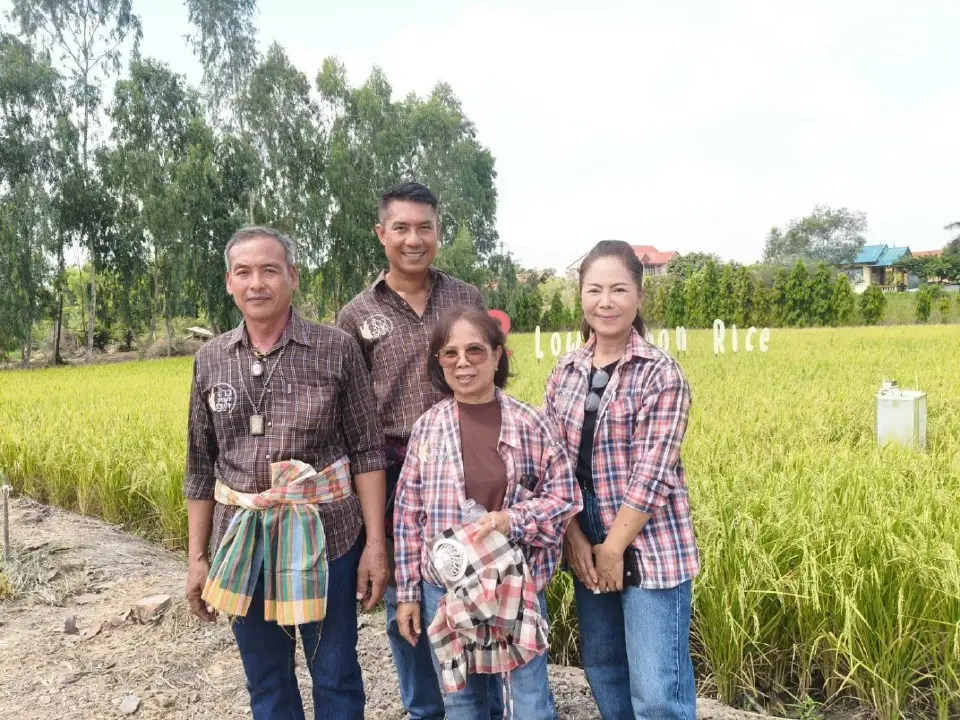 กรมการข้าวดัน 'ข้าวคาร์บอนต่ำ' คลอง 13 ต้นแบบภาคกลาง ลุยเจาะตลาดโลก