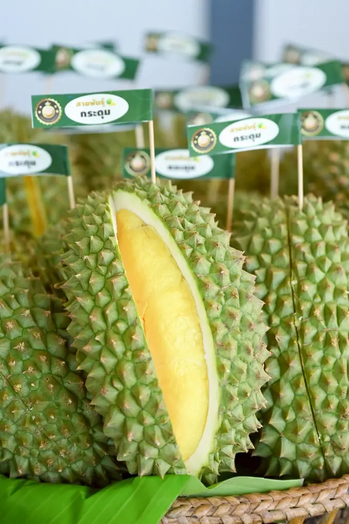 เปิด 7 พิกัด เที่ยวระยอง คาเฟ่ ร้านอาหารเด็ด GO Local Eat Local Go Hotel บุฟเฟ่ต์ทุเรียน ปังๆ