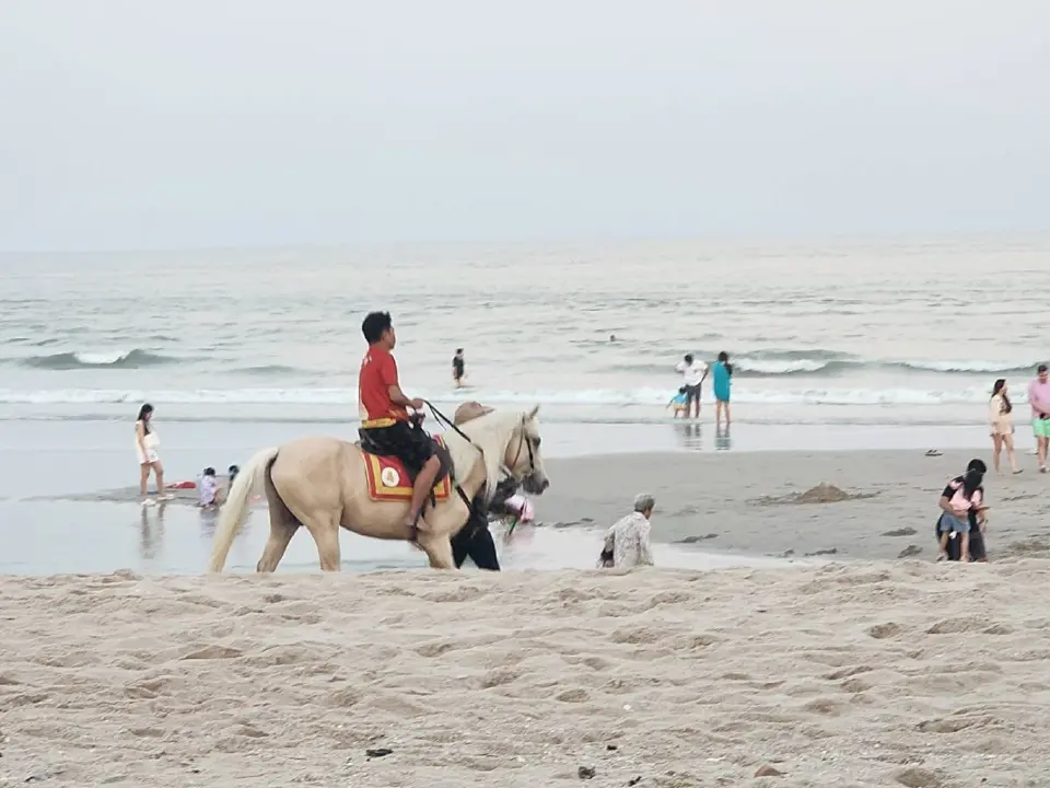 เช็คอิน สวนสนลอย คาเฟ่สีเขียวริมทะเล แลนด์มาร์คใหม่ ชะอำ หัวหิน เซ็นทารา ไลฟ์ ชะอำ