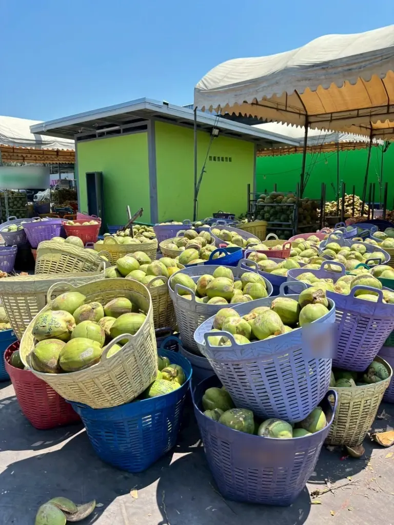 กขค. ลงพื้นที่ราชบุรี ลุยตรวจค้า “มะพร้าว” พบปมร้อน ฮั้วราคา-ใช้อำนาจเหนือตลาด