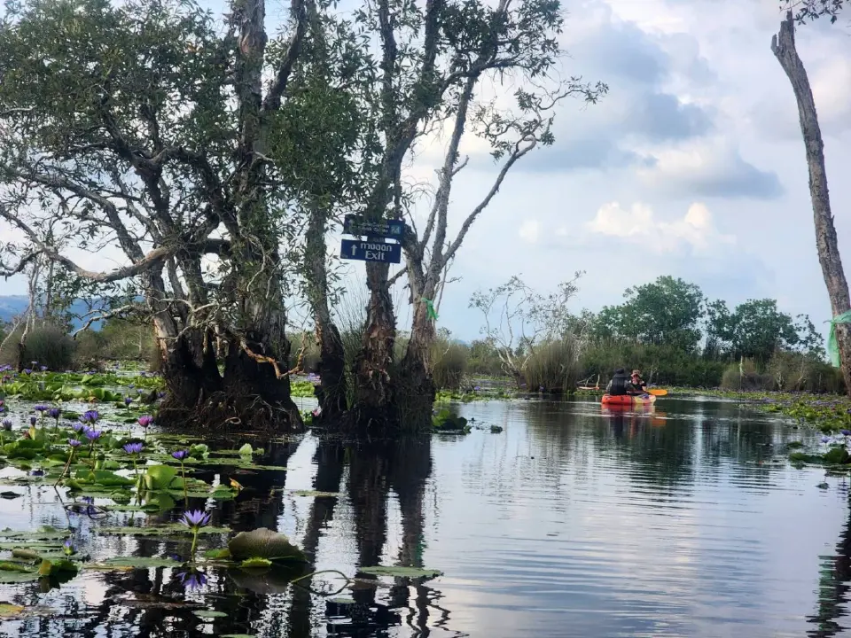 เปิด 7 พิกัด เที่ยวระยอง คาเฟ่ ร้านอาหารเด็ด GO Local Eat Local Go Hotel บุฟเฟ่ต์ทุเรียน ปังๆ