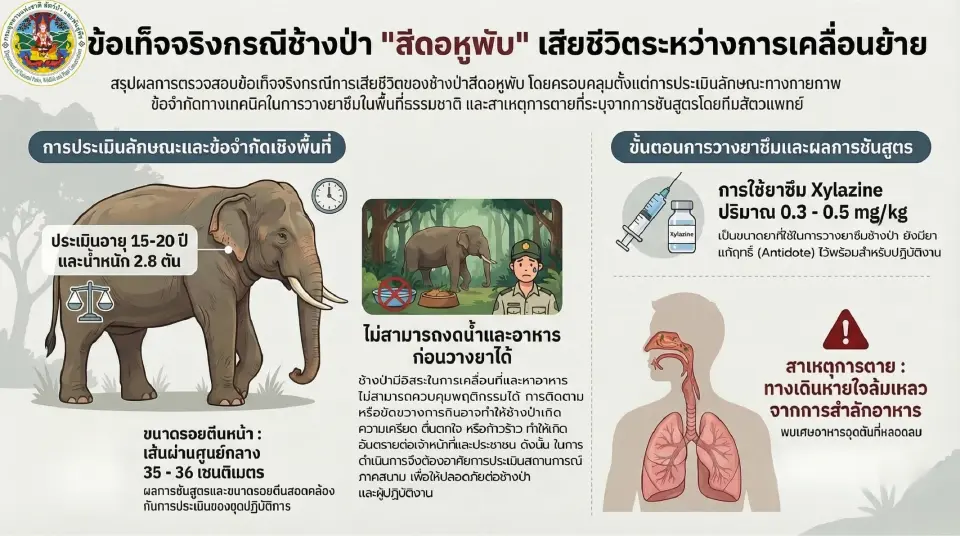 กรมอุทยานฯเปิดผลสอบข้อเท็จจริง กรณีช้างป่าสีดอหูพับ เสียชีวิตระหว่างเคลื่อนยาย