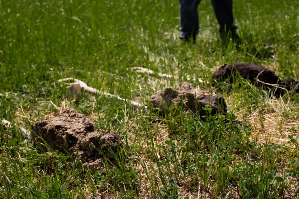 วิส อะคาเดมี ดัน ‘น่าน’ ต้นแบบฟื้นป่าต้นน้ำ ควบคู่รายได้ชุมชน 