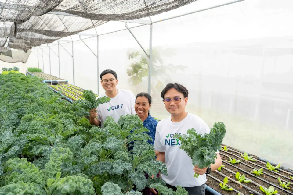 GULF ดันโซลาร์สูบน้ำหนุนเกษตรอุดรฯ สร้างรายได้ยั่งยืนให้ชุมชน