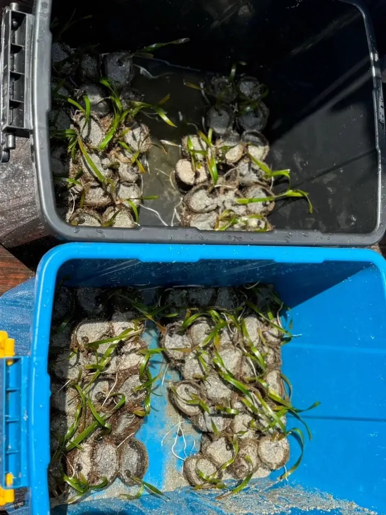 'แคลร์ - ณริดา จรณะจิตต์' เด็กไทยรักษ์โลก-คืนลมหายทะเล ดังไกลถึงเวที UN