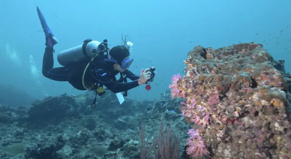 'แคลร์ - ณริดา จรณะจิตต์' เด็กไทยรักษ์โลก-คืนลมหายทะเล ดังไกลถึงเวที UN