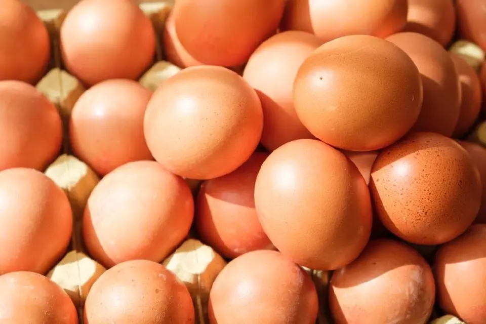 "เอ้กบอร์ด”ต้องดูแลทั้งผู้เลี้ยง-ผู้บริโภคให้อยู่ได้ ไม่เดือดร้อน