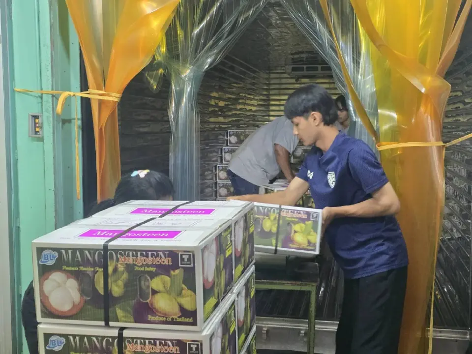 USDA ไฟเขียว! มังคุดไทยล็อตแรกปี 69 คาดถึงมือผู้บริโภคชาวสหรัฐ ปลายเม.ย.นี้