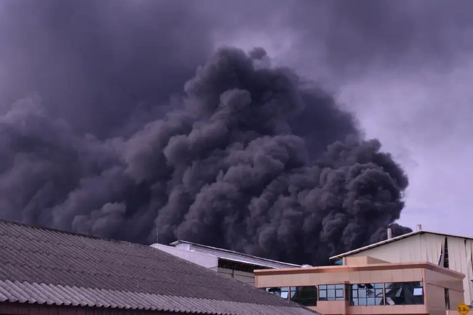 ปัญหามลพิษ