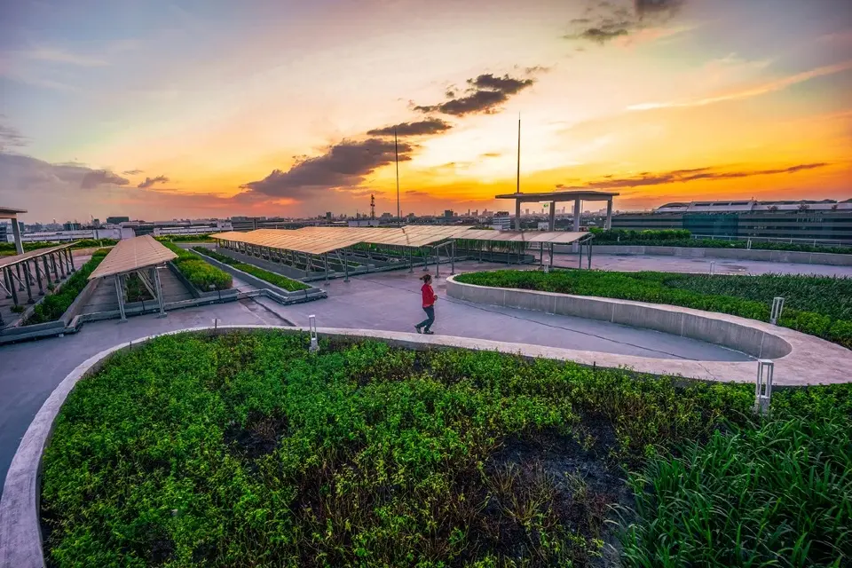 ดาดฟ้าโซลาร์เซลล์