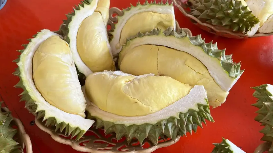 เปิดพิกัด'บุฟเฟ่ต์ทุเรียน 2569' กรุงเทพ ระยอง จันทบุรี กินไม่อั้นหนึ่งปีมีครั้งเดียว