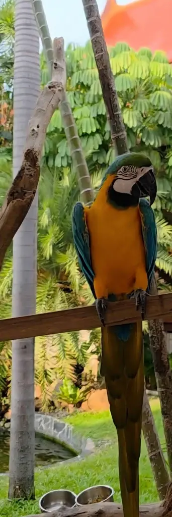 เปิดวาร์ป! โฉมใหม่ 'อนันตรา หัวหิน' รีสอร์ทสวยติดแกลม โอเอซิสริมทะเล