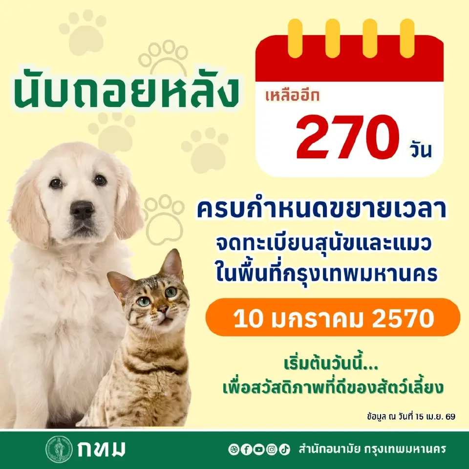 จดทะเบียนสุนัข แมว กทม. ที่ไหนดี อัปเดตเงื่อนไข-จุดบริการ 'ฉีดไมโครชิป' ฟรี