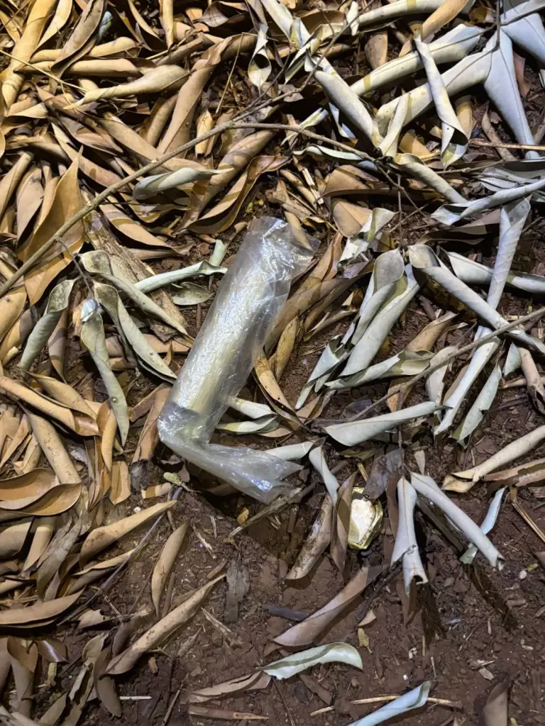 เชียงใหม่เอาจริง รวบผู้ต้องหาฝ่าฝืนคำสั่งสกัดไฟป่า แอบเข้าป่าไปเสพยา-ล่าสัตว์