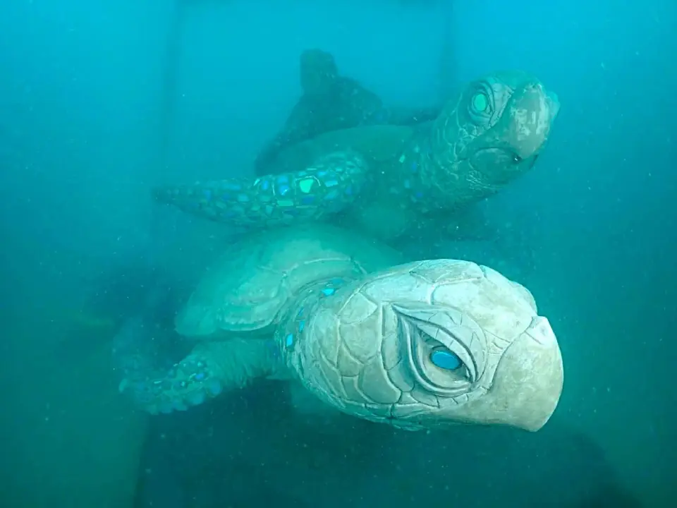 “ปตท.สผ.” ปั้น ‘Ocean for Life’ เกาะเต่า ฟื้นทะเล-เปิดแหล่งดำน้ำใหม่ หนุนรายได้ยั่งยืน