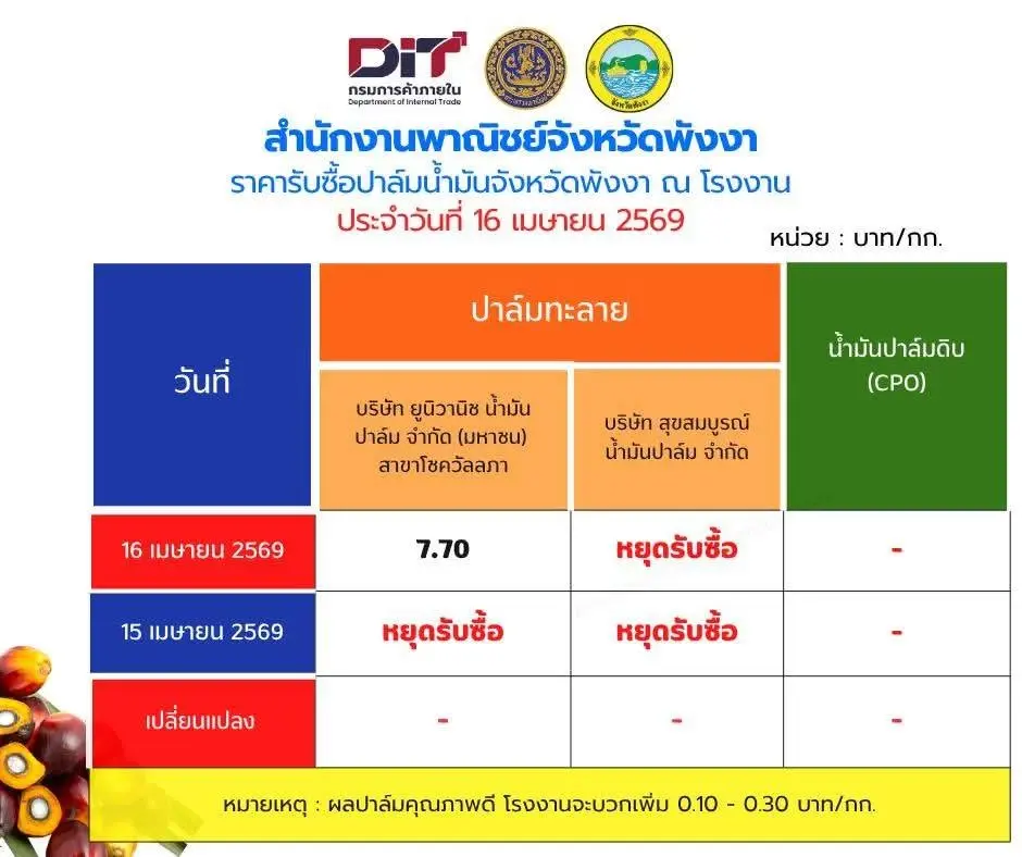 ชาวสวนปาล์มรวมพลัง บุกพาณิชย์ 22 เม.ย. จี้แจงนโยบาย “ห้ามส่งออก” ฉุดราคาดิ่ง 2 บาท/กก.