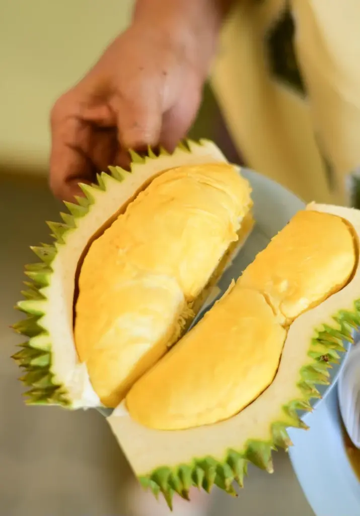 บุฟเฟ่ต์ทุเรียน สวนสุภัทราแลนด์