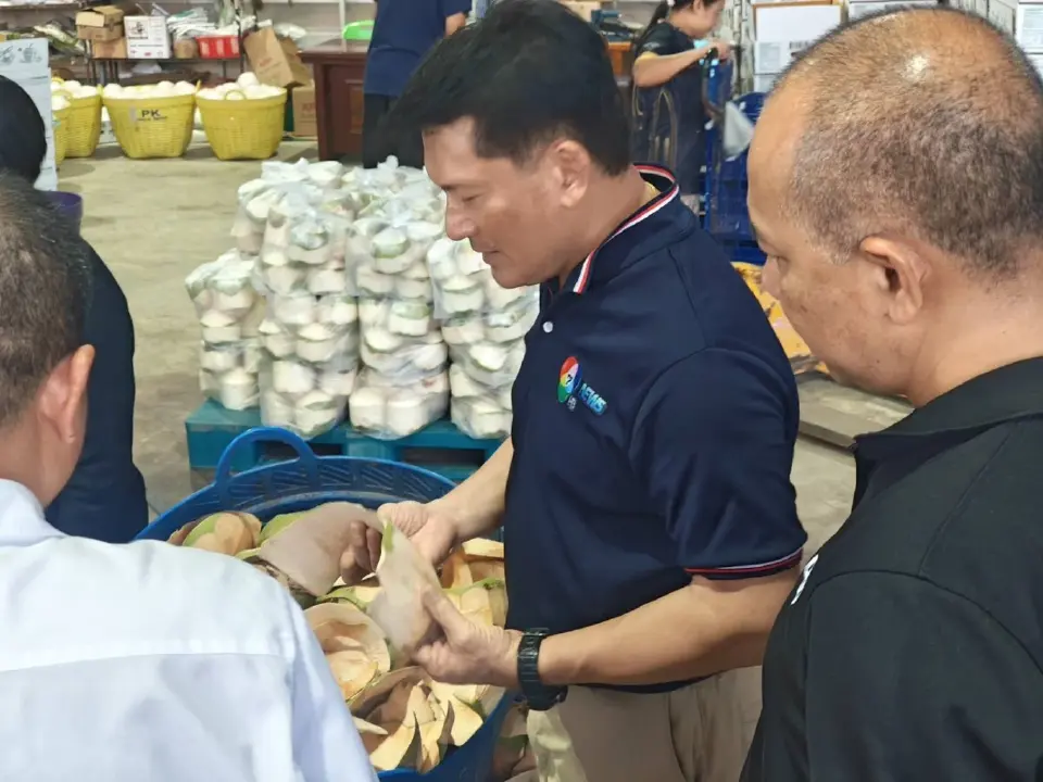 พาณิชย์ บุกล้งต่างชาติพบเป็นนอมินี กดราคามะพร้าวเหลือ 3 บาท/ลูก