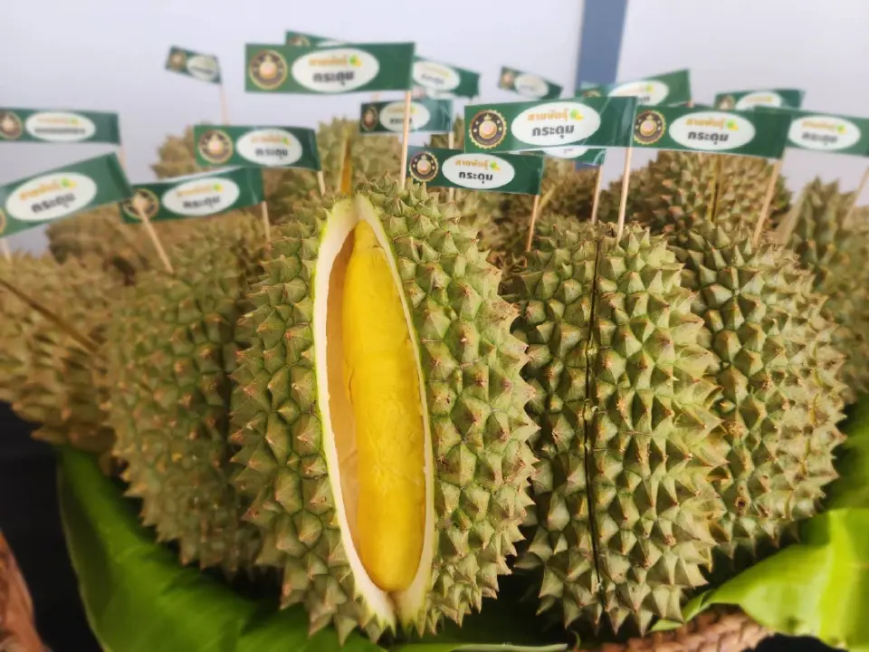 บุฟเฟ่ต์ทุเรียนสวนคุณยาย