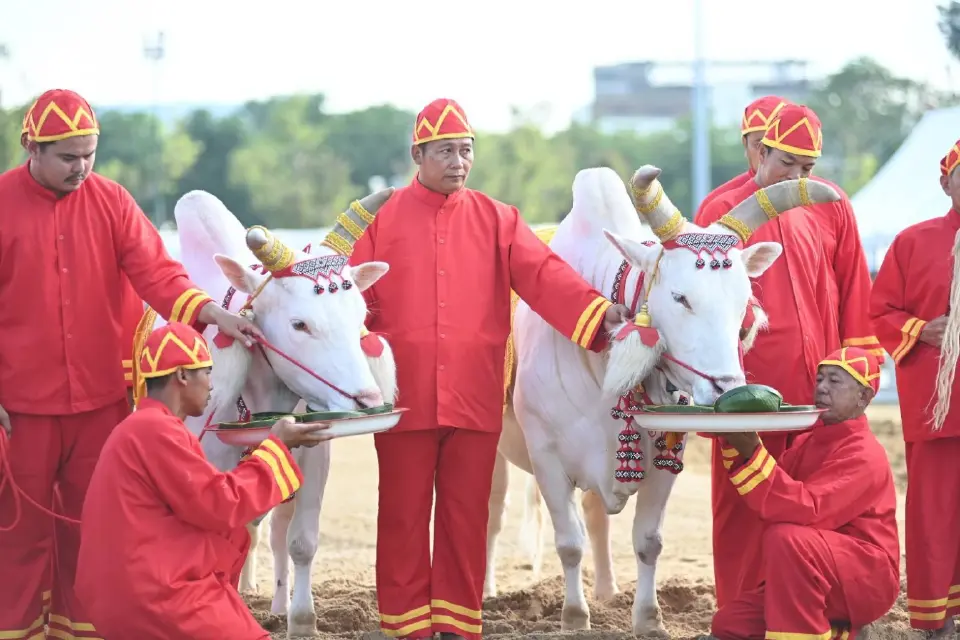 กระทรวงเกษตรฯ ซ้อมใหญ่ พระราชพิธีพืชมงคล ปี 69  ท้องสนามหลวง