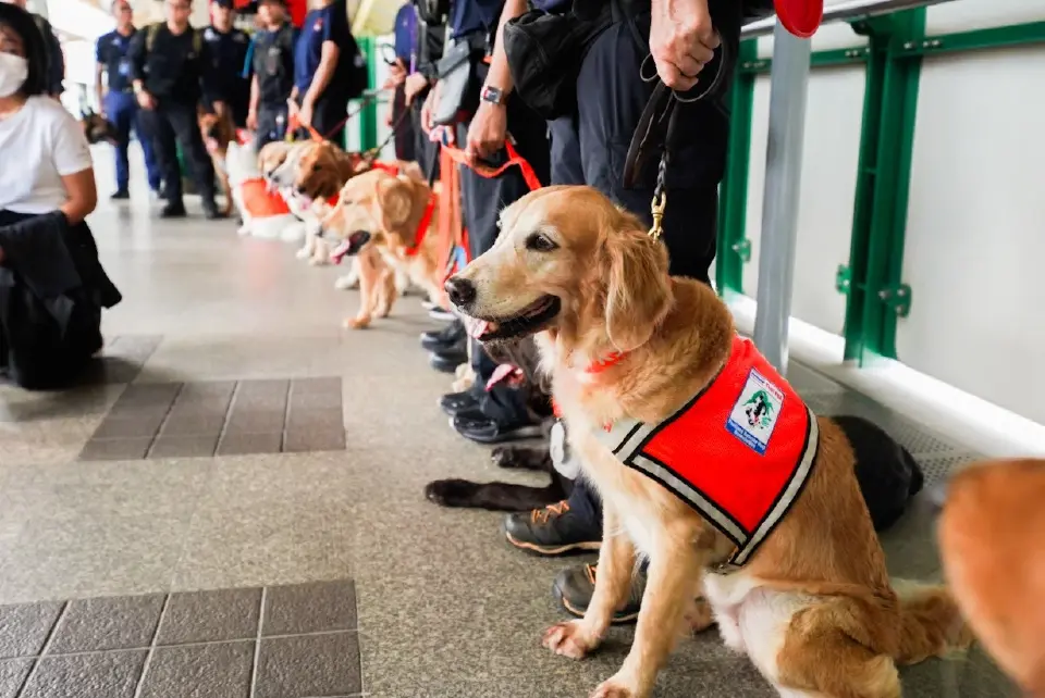 BTS เปิดพื้นที่ฝึก K9 ใช้รถไฟฟ้า ชี้ศักยภาพขนส่งสาธารณะในภารกิจฉุกเฉิน