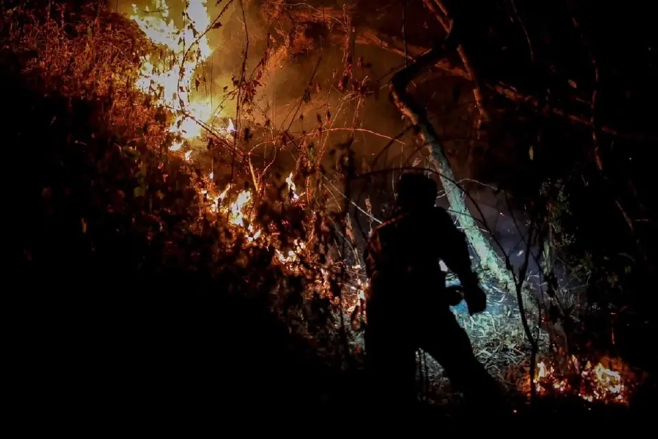 วิกฤตไฟป่าภาคเหนือทุบสถิติ! จุดความร้อนพุ่งสะสม 6.4 หมื่นจุด