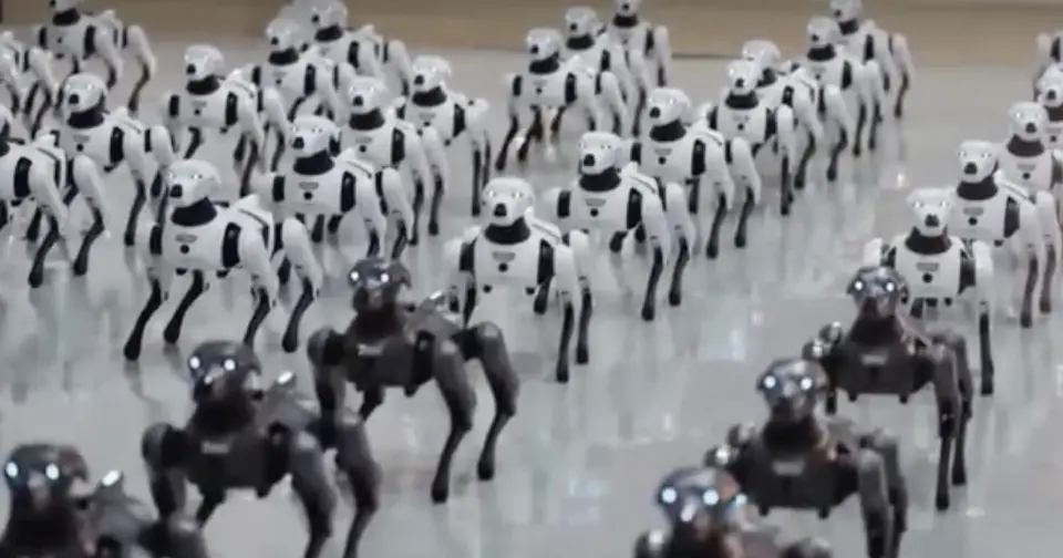 AiMOGA's robotic dogs.