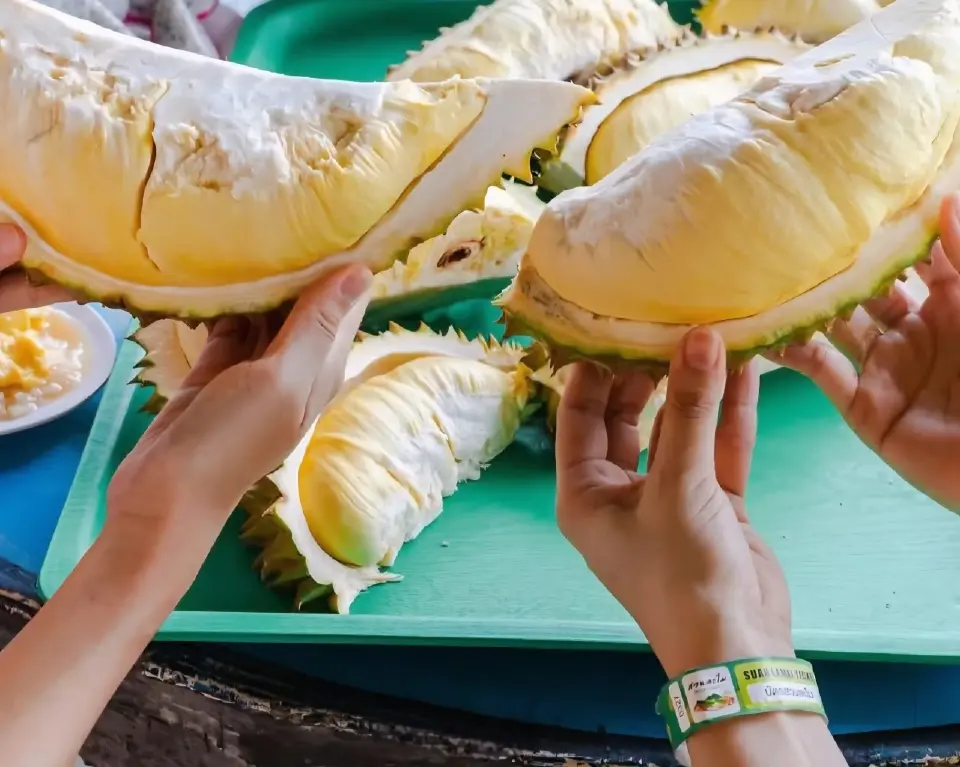 บุฟเฟ่ต์ทุเรียน สวนละไม