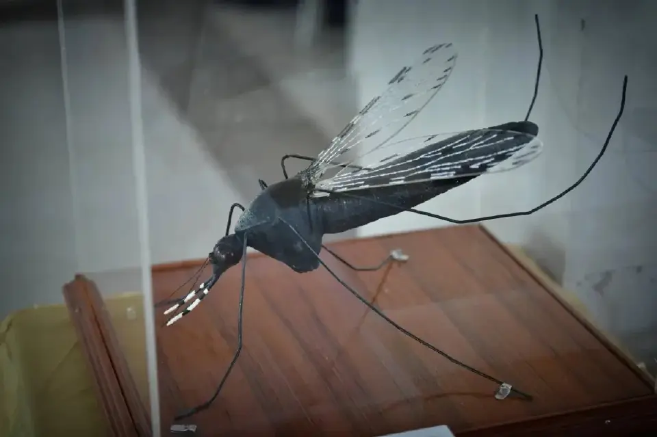 80 ประเทศทั่วโลกยังเผชิญมาลาเรียระบาด แอฟริกาแบกภาระตาย 95%