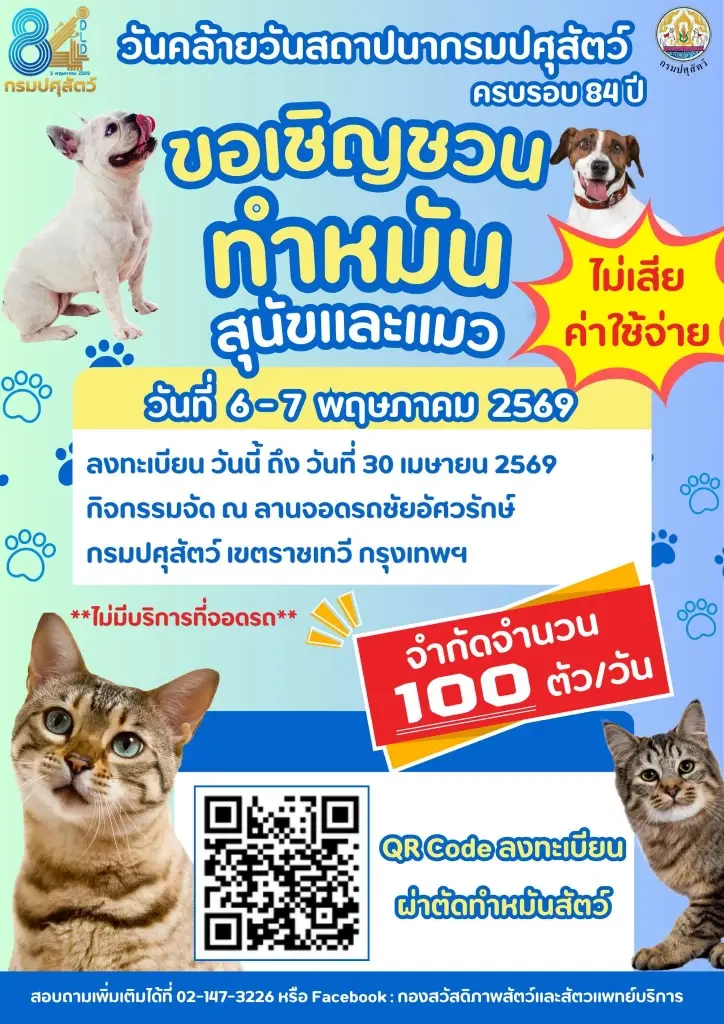 กรมปศุสัตว์ ชวนลงทะเบียน 'ทำหมันสุนัข-แมว' ฟรี วันละ 100 ตัว เช็กเงื่อนไขที่นี่ 