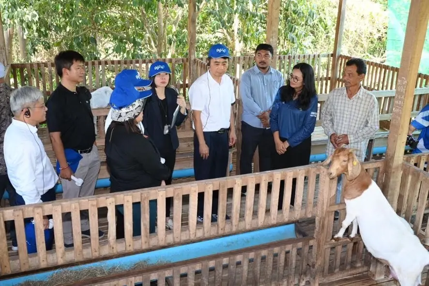 ภาพประกอบข่าว ไทย-จีน ดันนวัตกรรมแก้จน ‘แพะปัตตานี’ สร้างรายได้ชาวบ้าน