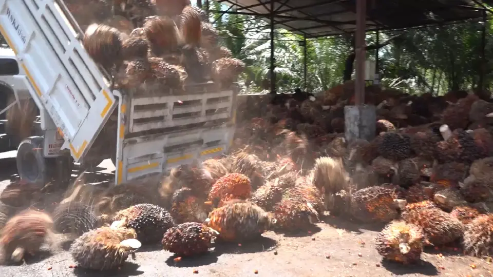 แฟ้มภาพประกอบข่าว