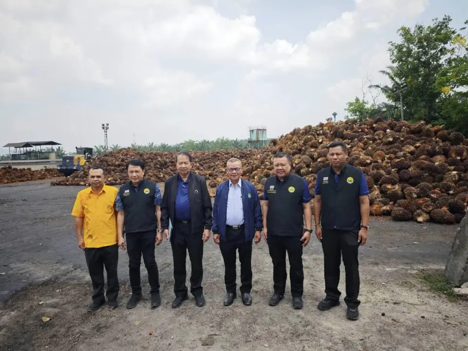 ดีเดย์ งดส่งออกน้ำมันปาล์มวันแรก ราคาไม่สะดุด ยังพุ่ง 9 บาท/กก.