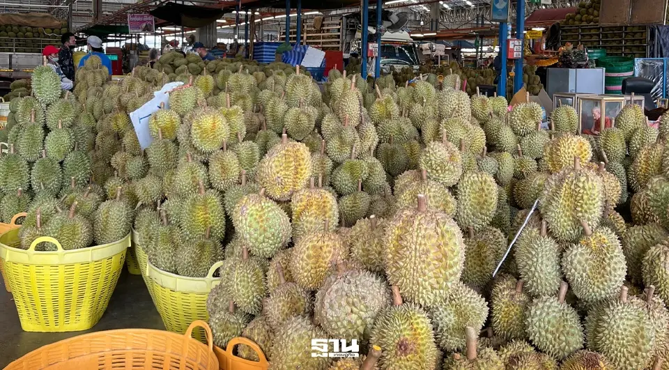 ราคาทุเรียนตลาดไทวันนี้ 2569 กิโลละกี่บาท เช็ครายละเอียดที่นี่